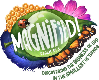 2025 VBS Volunteer Sign-Ups