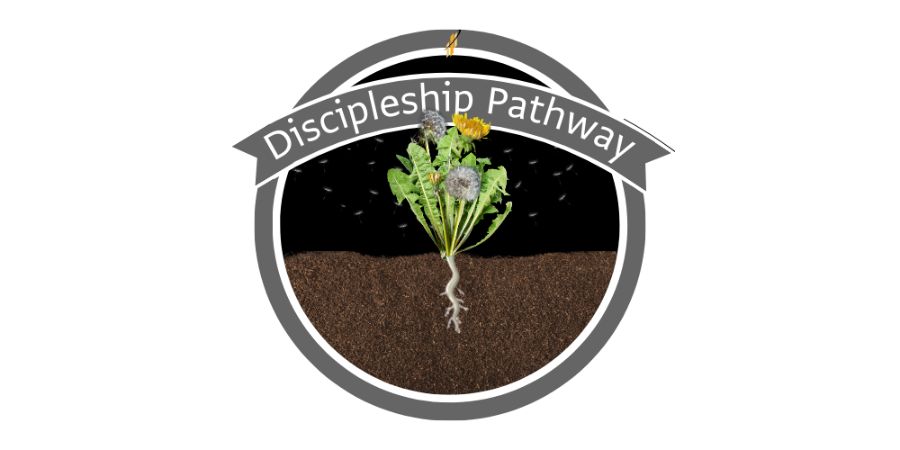 Discipleship Pathway Groups Begin