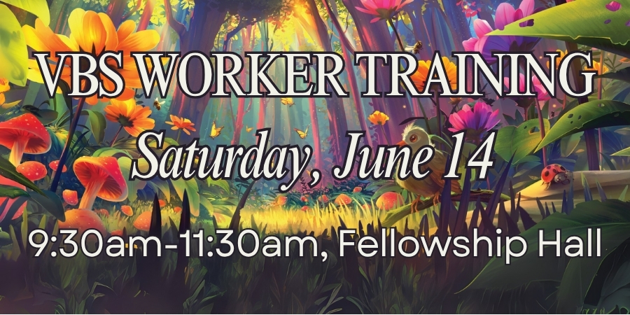 VBS Worker Training